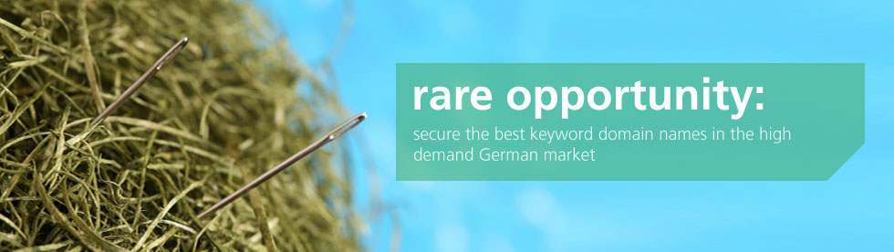 rare opportunity: secure the best keyword domain names in the high-demand German market.
